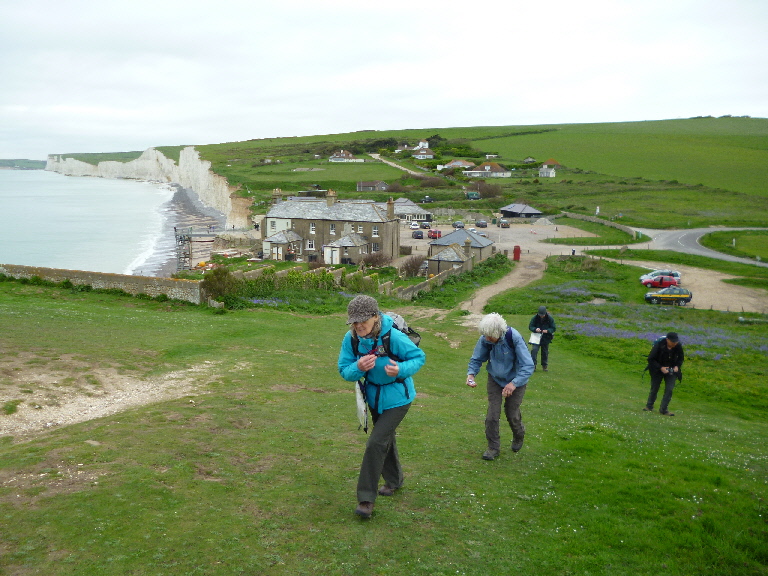 055southdowns