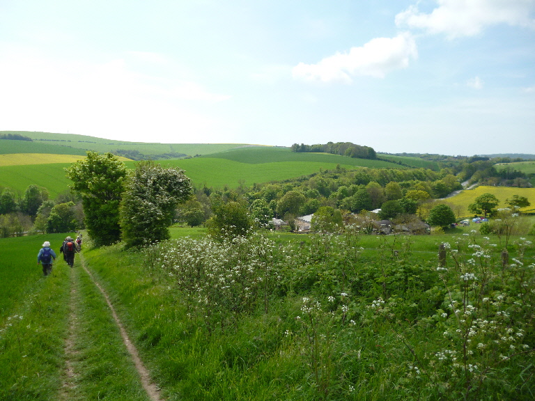 058southdowns
