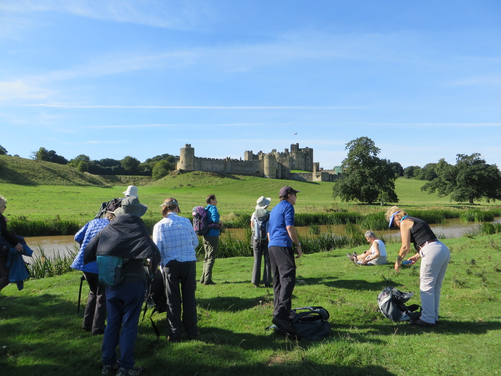 111alnmouth