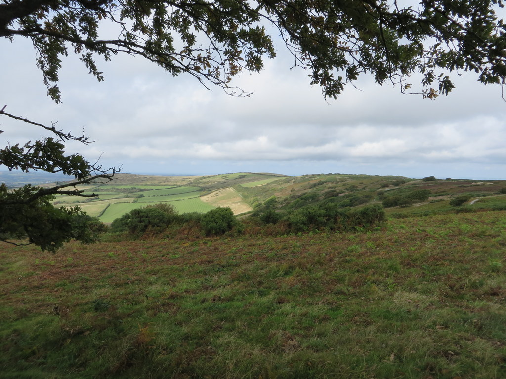 137isleofwight