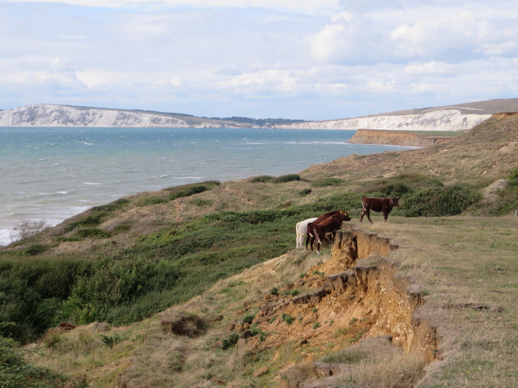 146isleofwight